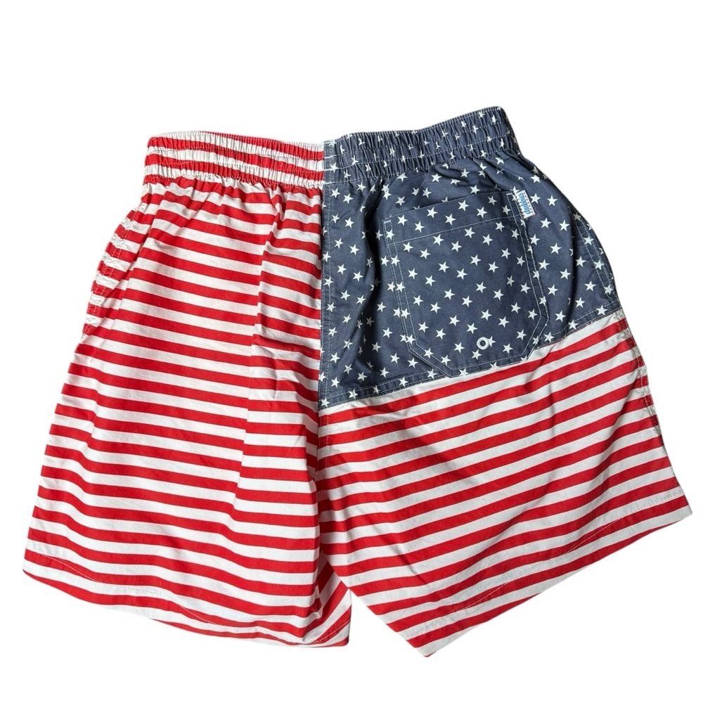 Chubbies Flag Print Swim Trunks Size Large - Picture 2 of 5